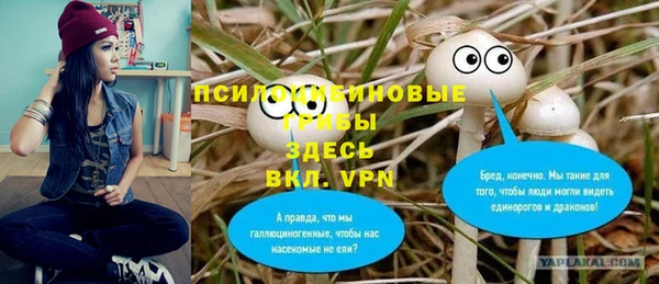 спайс Нягань