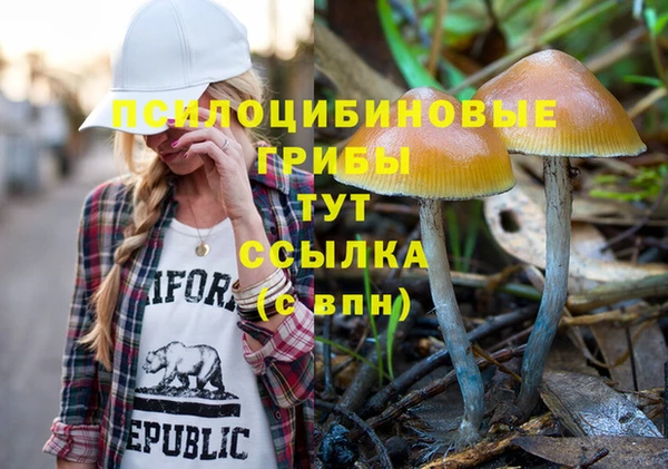 не бодяженный Абдулино