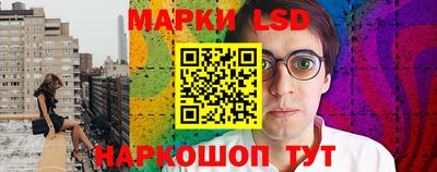стафф Донецк