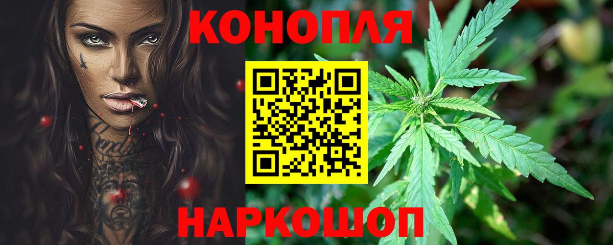 Канабис VHQ  Марихуана семена  Каннабис сатива  Партизанск  Вход с VPN 